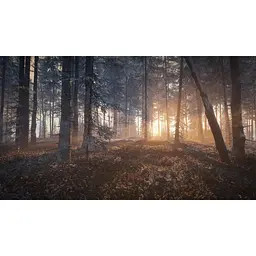 Ключ активації Microsoft TheHunter: Call of the Wild - Reserve Bundle для Xbox One/Series - мініатюра 6