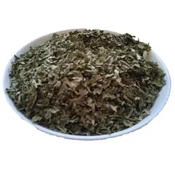 Подорожник великий Листя Plantago major - мініатюра 1