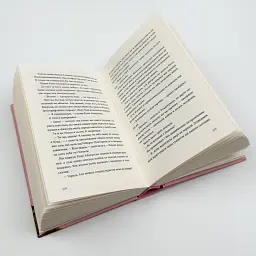 Твоя Вільма - Гюдрун Скреттінг | Видавництво Старого Лева, книга українською, нова, тверда - мініатюра 3