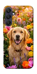 TPU чохол Demsky Flowery labrador для Samsung Galaxy A25 5G