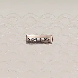 Валіза маленька під ручну поклажу Semi Line 20 дюймів (S) дюймів (S) ABS-Plastic Ercu (T5791-1) - мініатюра 9