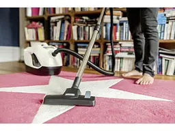 Миючий пилосос Karcher DS 6 (1.195-250.0) - мініатюра 3