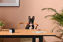 Компактна HD-камера Petcube Play 2 (PP20US) - мініатюра 8