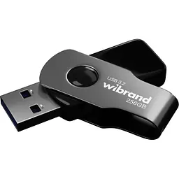USB флеш накопичувач Wibrand 256GB Lizard Black USB 3.2 (WI3.2/LI256P9B) - мініатюра 2