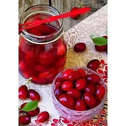 Саджанець Agro-Market Кизил Світлячок (середній термін дозрівання, один з найбільш великоплідних сортів) 1 шт. в упаковці (35880) - мініатюра 2