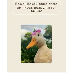 Стікерпак Cobart 3Д "Timeless"