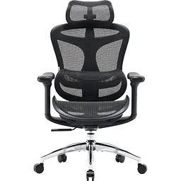 Крісло офісне Sihoo Doro C300L Mesh Black (DORO-C300L-A3-101)