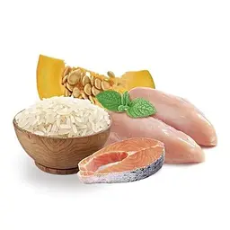 Сухий корм для собак Home Food Adult Maxi Здорова шкіра та блиск шерсті для великих порід з індичкою та лососем 10 кг - мініатюра 2
