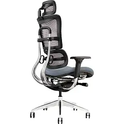 Офісне ергономічне крісло GT Racer X-802 Bright Gray (W-20, B-40)