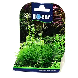 Штучна рослина Hobby Plant Pad 2 7x4,5x4,5 см (51552) - мініатюра 5