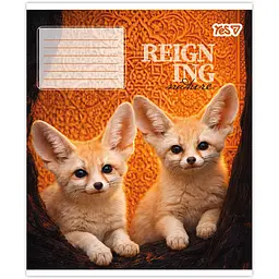 Зошит шкільний Yes Reign ing А5 48 аркушів лінія 10 шт. (769097) - мініатюра 6