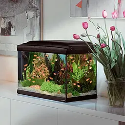Акваріум Ferplast CAYMAN 60 PROFESSIONAL - 75 L 62.5 x 34.5 x h 45.5 cm - мініатюра 3