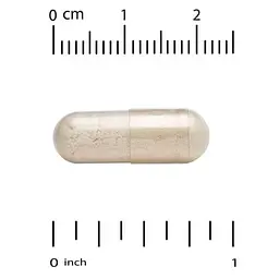 Фосфоліпіди Sunflower Phosphatidylserine 100 mg 120 Capsules CGN vit0004789 - мініатюра 3