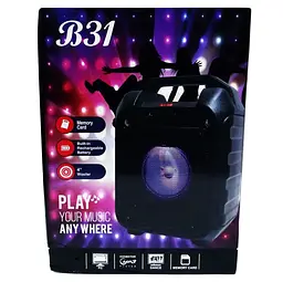 Портативна Bluetooth колонка RIAS B31 валіза з караоке Black (4_00164) - мініатюра 7