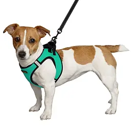 Шлея для собак Bronzedog Sport Vest XXXS 13х11х3 см бірюзова - мініатюра 2