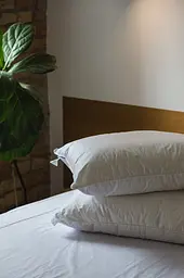Подушка Ecotton 70х70 см Ecofill Premium антиалергенна з кантом біопух біла в чохлі для зберігання White (25510) - мініатюра 5