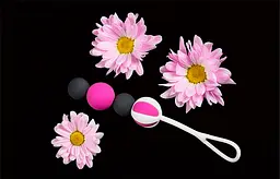 Вагінальні кульки - Geisha Balls Magnetic від Fun Toys Fun Toys FT10271 88095 - мініатюра 6