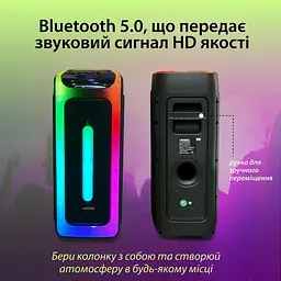 Акустична система XPRO D2806 з потужністю 60 Вт (41197-D2806_4813) - мініатюра 2