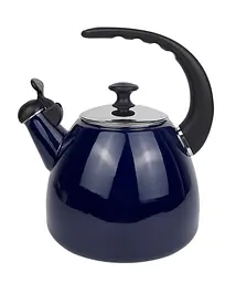 Чайник із свистком Kamille KM-1040D 2,5 л