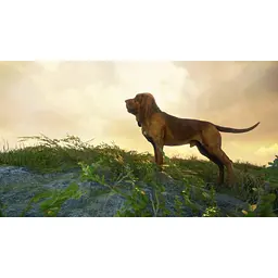 Ключ активації Microsoft TheHunter: Call of the Wild - Gold Bundle для Xbox One/Series - мініатюра 2