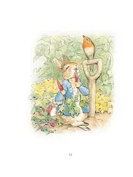 My First Peter Rabbit Collection - Беатрікс Поттер - мініатюра 3