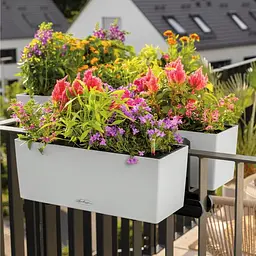Вазон Lechuza Balconera Color 40 білий (15479) - мініатюра 3