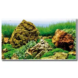 Двосторонній фон для акваріума Vision, рулон 45 см × 15 м