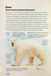 Морські тварини світу. Нотатки, малюнки та спостереження про тварин, що живуть в океані - Хуан Карлос Алонсо - миниатюра 14
