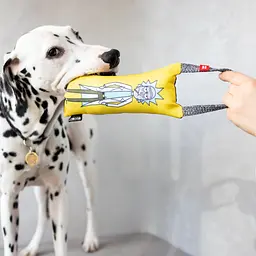 Іграшка для собак WAUDOG Fun "Рік і Морті 2" з пискавкою S (629-0281) - мініатюра 6