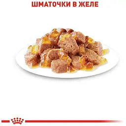 Набір вологого корму для дорослих кішок Royal Canin Instinctive шматочки в желе 1.02 кг (12 шт. х 85 г) - мініатюра 3