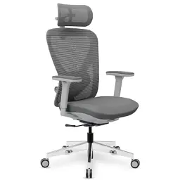 Офісне крісло Mealux Q1 Air Fabric Black (HF-Q1 F/B)