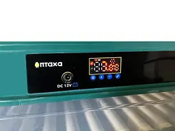 Інкубатор автоматичний Птаха 70-G (220/12В) - мініатюра 6