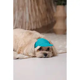 Кепка Pet Fashion Topaz для собак L - мініатюра 6