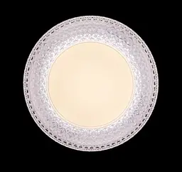 Люстра стельова LED Splendid Ray L8268/24Wx2, 48W, білий, сучасний стиль з пультом - мініатюра 3