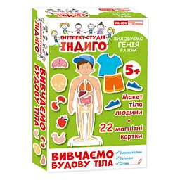 Дитяча розвиваюча гра на магнітах. Вивчаємо будову тіла 13109081, 22 картки в наборі