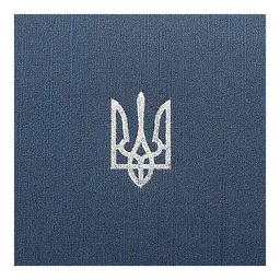 Щоденник датований Buromax Powerful 2026 A5 бумвініл/поролон синій (BM.21124-02) - мініатюра 4