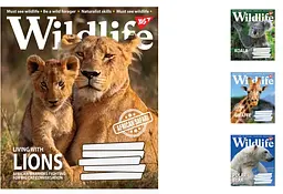 
Зошити учнівські 18 аркушів клітинка. YES Wild life, 25 шт. в упаковці