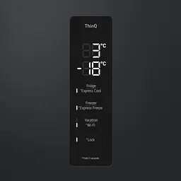 Холодильник LG GC-B509FTZW (7110072) - мініатюра 3