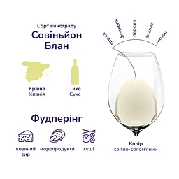 Вино Don Simon Sauvignon Blanc, біле, сухе, 12,5%, 0,75 л - мініатюра 6