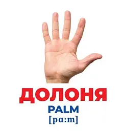 Геній з пелюшок. Будова тіла. Демонстраційний матеріал (українською мовою) 10107202У - мініатюра 2