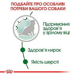 Вологий корм для собак малих порід старше 12 років Royal Canin Mini Ageing 12+ шматочки в соусі з м'ясом 85 г (1093001) - мініатюра 3