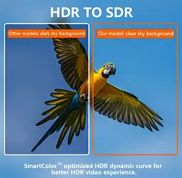 Медіаплеєр X96Q Android 10 TV Box (2GB RAM + 16 GB ROM, 4K UHD, Wi-Fi) - мініатюра 7
