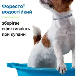 Нашийник Elanco (Bayer) Foresto від бліх та кліщів для кішок і собак малих порід 38 см - мініатюра 6