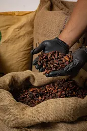 Обсмажені какао-боби Ecuador Buena Fe Violeta - 1 кг - мініатюра 2