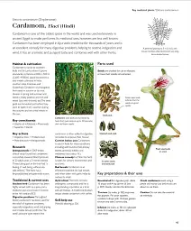 Encyclopedia of Herbal Medicine - мініатюра 8