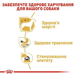 Вологий корм Royal Canin Chihuahua Adult для собак породи Чихуахуа 85 г (2041001) - мініатюра 4