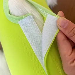 Одяг для котів після операції Holley Light Green L - мініатюра 6
