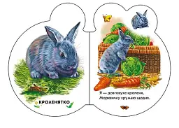 На подвір'ї - мініатюра 3