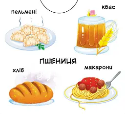 Перша книжка з рухомими елементами. Із чого це зроблено. Дивись, читай, крути, штовхай - - мініатюра 5