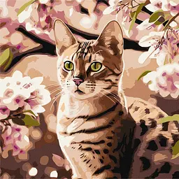 Набір для розпису по номерах Кошеня в саду, 40x40 см, КНО6513